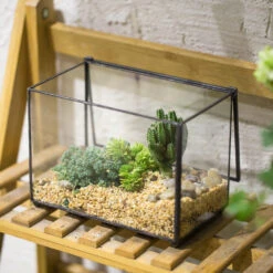 Handmade Rectangle Clear Glass Geometric Terrarium Box For Succulents Fern Moss Plant Flower -Ncyp Garden Sale Shop product image 480627943