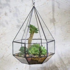Handmade Hanging Six-surface Diamond Glass Geometric Terrarium With 3 Spaced Opening For Succulents -Ncyp Garden Sale Shop product image 482680861