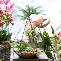 Handmade Hanging Six-surface Diamond Glass Geometric Terrarium With 3 Spaced Opening For Succulents -Ncyp Garden Sale Shop product image 482680863