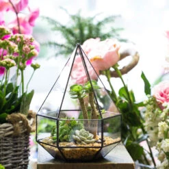 Handmade Hanging Six-surface Diamond Glass Geometric Terrarium With 3 Spaced Opening For Succulents -Ncyp Garden Sale Shop product image 482680889