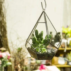 Handmade Artistic Hanging Glass Teardrop Diamond Geometric Terrarium With Loop For Succulent Moss 11 Handmade Artistic Hanging Glass Teardrop Diamond Geometric Terrarium With Loop For Succulent Moss -Ncyp Garden Sale Shop product image 490452742