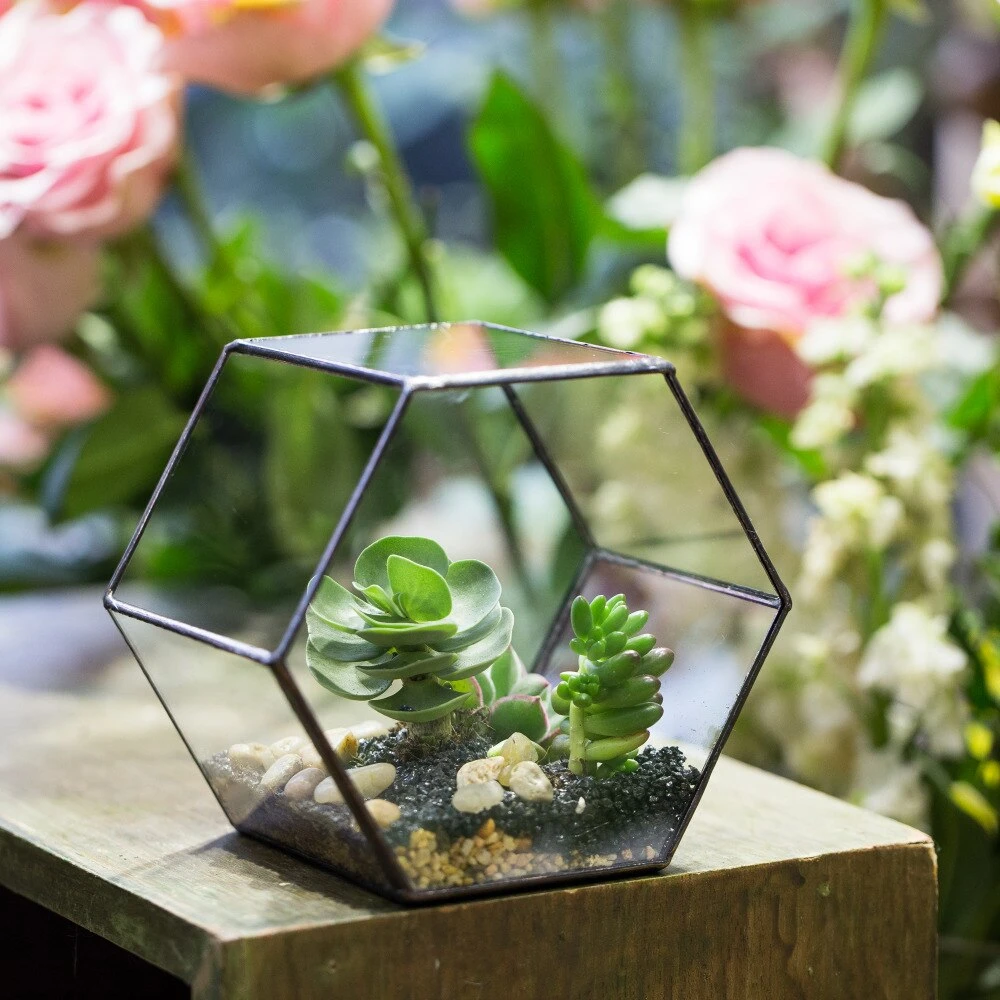 Handmade Thick Geometric Hexagon Glass Terrarium For Succulent Moss Airplants 9 Handmade Thick Geometric Hexagon Glass Terrarium For Succulent Moss Airplants - Image 9