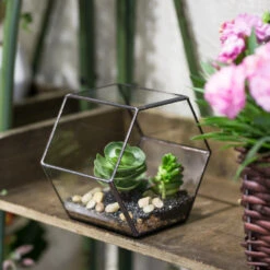 Handmade Thick Geometric Hexagon Glass Terrarium For Succulent Moss Airplants 12 Handmade Thick Geometric Hexagon Glass Terrarium For Succulent Moss Airplants -Ncyp Garden Sale Shop product image 496902038