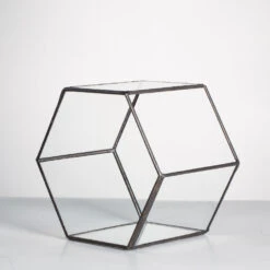 Handmade Thick Geometric Hexagon Glass Terrarium For Succulent Moss Airplants 13 Handmade Thick Geometric Hexagon Glass Terrarium For Succulent Moss Airplants -Ncyp Garden Sale Shop product image 496902043