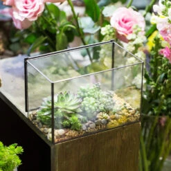 Handmade Rectangle Clear Glass Geometric Terrarium Box With Lid For Succulents Micro Landscape -Ncyp Garden Sale Shop product image 497054568