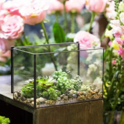 Handmade Rectangle Clear Glass Geometric Terrarium Box With Lid For Succulents Micro Landscape -Ncyp Garden Sale Shop product image 497054570
