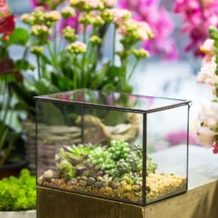 Handmade Rectangle Clear Glass Geometric Terrarium Box With Lid For Succulents Micro Landscape -Ncyp Garden Sale Shop product image 497054586