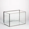 Handmade Rectangle Clear Glass Geometric Terrarium Box With Lid For Succulents Micro Landscape