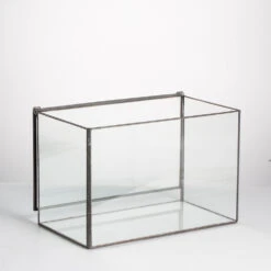 Handmade Rectangle Clear Glass Geometric Terrarium Box With Lid For Succulents Micro Landscape