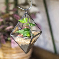 Handmade Small Black Hanging Class Geometric Glass Terrarium For Air Plants Moss -Ncyp Garden Sale Shop product image 499872115
