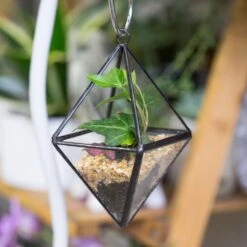 Handmade Small Black Hanging Class Geometric Glass Terrarium For Air Plants Moss -Ncyp Garden Sale Shop product image 499872116