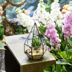 Handmade Hanging Six-surface With 3 Spaced Opening Glass Geometric Terrarium For Succulent Cacti -Ncyp Garden Sale Shop product image 499880069