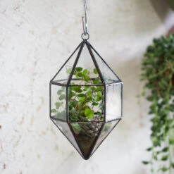 Handmade Hanging Cone Shape Glass Geometric Terrarium For Succulent Fern Moss 12 Handmade Hanging Cone Shape Glass Geometric Terrarium For Succulent Fern Moss -Ncyp Garden Sale Shop product image 499880420
