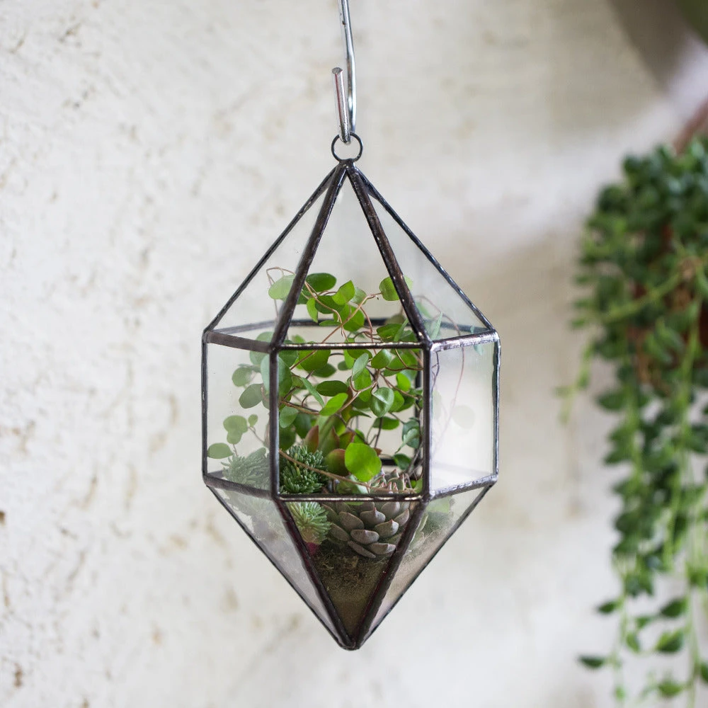Handmade Hanging Cone Shape Glass Geometric Terrarium For Succulent Fern Moss 3 Handmade Hanging Cone Shape Glass Geometric Terrarium For Succulent Fern Moss - Image 3
