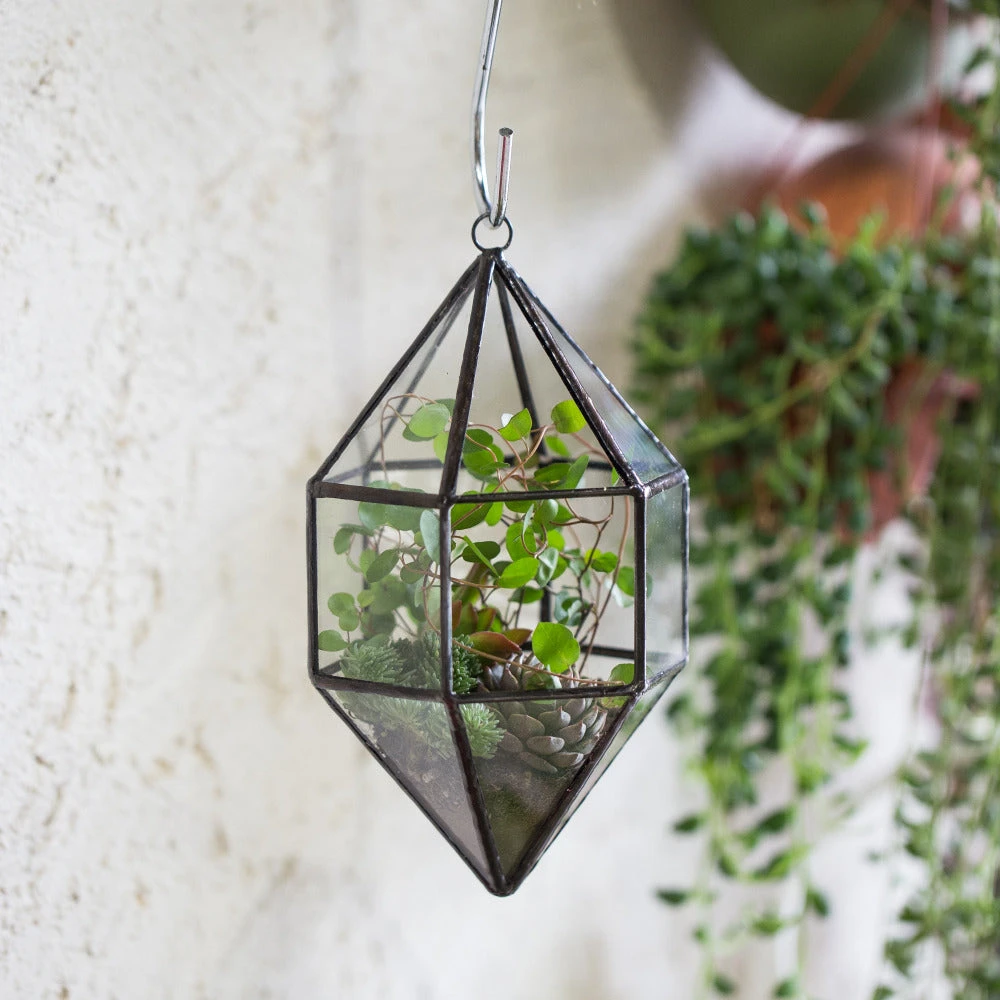 Handmade Hanging Cone Shape Glass Geometric Terrarium For Succulent Fern Moss 10 Handmade Hanging Cone Shape Glass Geometric Terrarium For Succulent Fern Moss - Image 10