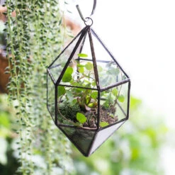 Handmade Hanging Cone Shape Glass Geometric Terrarium For Succulent Fern Moss 14 Handmade Hanging Cone Shape Glass Geometric Terrarium For Succulent Fern Moss -Ncyp Garden Sale Shop product image 499880422