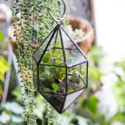 Handmade Hanging Cone Shape Glass Geometric Terrarium For Succulent Fern Moss 18 Handmade Hanging Cone Shape Glass Geometric Terrarium For Succulent Fern Moss -Ncyp Garden Sale Shop product image 499880423