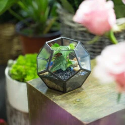 Handmade Mini Black Pentagon Glass Geometric Terrarium For Ring Box Moss -Ncyp Garden Sale Shop product image 499881922