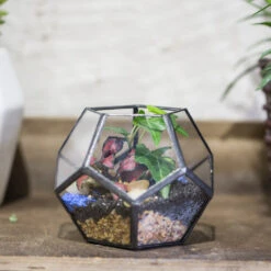Handmade Mini Black Pentagon Glass Geometric Terrarium For Ring Box Moss -Ncyp Garden Sale Shop product image 499881925