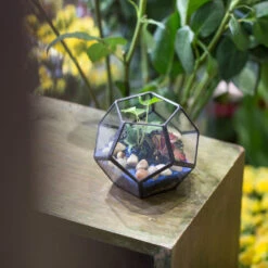 Handmade Mini Black Pentagon Glass Geometric Terrarium For Ring Box Moss -Ncyp Garden Sale Shop product image 499881926