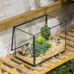 Handmade Rectangle Clear Glass Geometric Terrarium Box With Lid For Succulents Micro Landscape -Ncyp Garden Sale Shop product image 505152282