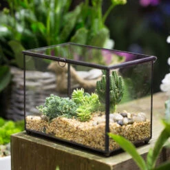 Handmade Rectangle Clear Glass Geometric Terrarium Box With Lid For Succulents Micro Landscape -Ncyp Garden Sale Shop product image 505152284