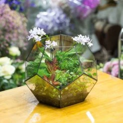 Handmade Extra Large Large Pentagon Glass Geometric Terrarium For Succulents Fern Moss Airplants 26 Handmade Extra Large Large Pentagon Glass Geometric Terrarium For Succulents Fern Moss Airplants -Ncyp Garden Sale Shop product image 534652727