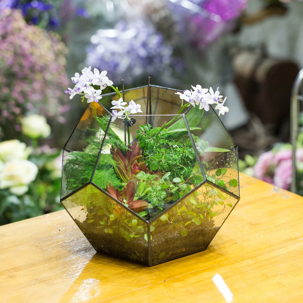 Handmade Extra Large Large Pentagon Glass Geometric Terrarium For Succulents Fern Moss Airplants 4 Handmade Extra Large Large Pentagon Glass Geometric Terrarium For Succulents Fern Moss Airplants - Image 4