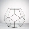 Handmade Extra Large Large Pentagon Glass Geometric Terrarium For Succulents Fern Moss Airplants
