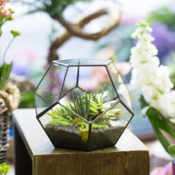 Handmade Tabletop Polyhedron Glass Geometric Terrarium For Succulent Fern Moss Air Plant 21 Handmade Tabletop Polyhedron Glass Geometric Terrarium For Succulent Fern Moss Air Plant -Ncyp Garden Sale Shop product image 540299078