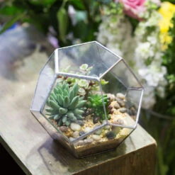Handmade Tabletop Polyhedron Glass Geometric Terrarium For Succulent Fern Moss Air Plant 24 Handmade Tabletop Polyhedron Glass Geometric Terrarium For Succulent Fern Moss Air Plant -Ncyp Garden Sale Shop product image 540299080