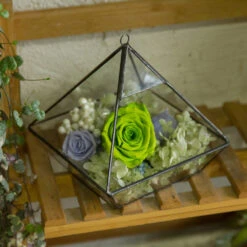 Handmade Hanging Glass Geometric Plant Container Terrariumfor Succulent Planter Fern Moss 19 Handmade Hanging Glass Geometric Plant Container Terrariumfor Succulent Planter Fern Moss -Ncyp Garden Sale Shop product image 550613357