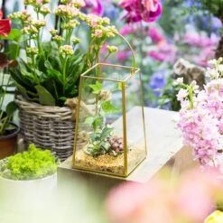 Handmade Copper Gold Echelon Geometric Glass Terrarium Hanging Wall Holder Lantern With Handle -Ncyp Garden Sale Shop product image 557798863