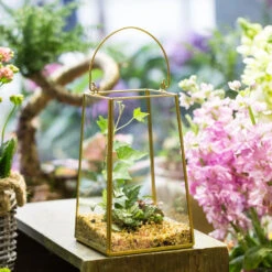 Handmade Copper Gold Echelon Geometric Glass Terrarium Hanging Wall Holder Lantern With Handle -Ncyp Garden Sale Shop product image 557798864