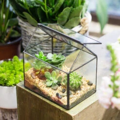 Handmade Black House Shape Glass Geometric Terrarium Wth Lid For Succulent Fern Moss Airplants -Ncyp Garden Sale Shop product image 564595370
