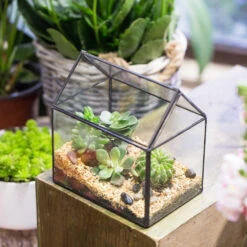 Handmade Black House Shape Glass Geometric Terrarium Wth Lid For Succulent Fern Moss Airplants -Ncyp Garden Sale Shop product image 564595373