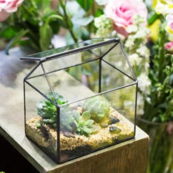 Handmade Black House Shape Glass Geometric Terrarium Wth Lid For Succulent Fern Moss Airplants -Ncyp Garden Sale Shop product image 564595374