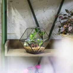 Handmade Glass Geometric Flower Terrarium Pot For Succulents Moss Fern Micro Landscape -Ncyp Garden Sale Shop product image 568044672