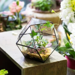 Handmade Glass Geometric Flower Terrarium Pot For Succulents Moss Fern Micro Landscape -Ncyp Garden Sale Shop product image 568044675