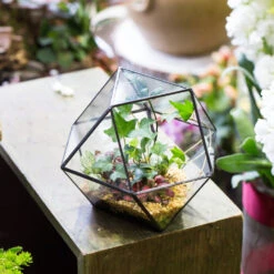 Handmade Glass Geometric Flower Terrarium Pot For Succulents Moss Fern Micro Landscape -Ncyp Garden Sale Shop product image 568044678