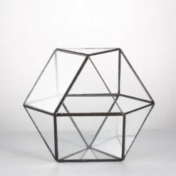Handmade Glass Geometric Flower Terrarium Pot For Succulents Moss Fern Micro Landscape