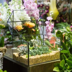 Handmade House Shape Glass Black Geometric Terrarium With Lid For Succulent Moss Airplants Cacti 17 Handmade House Shape Glass Black Geometric Terrarium With Lid For Succulent Moss Airplants Cacti -Ncyp Garden Sale Shop product image 572123477
