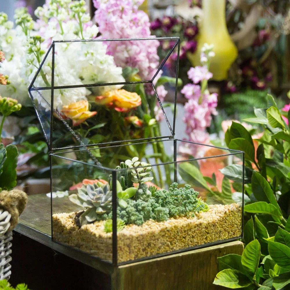 Handmade House Shape Glass Black Geometric Terrarium With Lid For Succulent Moss Airplants Cacti 6 Handmade House Shape Glass Black Geometric Terrarium With Lid For Succulent Moss Airplants Cacti - Image 6