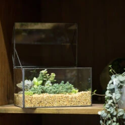 Handmade House Shape Glass Black Geometric Terrarium With Lid For Succulent Moss Airplants Cacti 16 Handmade House Shape Glass Black Geometric Terrarium With Lid For Succulent Moss Airplants Cacti -Ncyp Garden Sale Shop product image 572123488