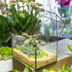 Handmade House Shape Glass Black Geometric Terrarium With Lid For Succulent Moss Airplants Cacti 23 Handmade House Shape Glass Black Geometric Terrarium With Lid For Succulent Moss Airplants Cacti -Ncyp Garden Sale Shop product image 572123491