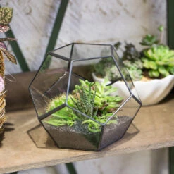 Handmade Silver Black Various Size Pentagon Glass Geometric Terrarium For Succulents Airplants Cacti -Ncyp Garden Sale Shop product image 573663912