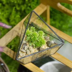 Handmade Geometric Flower Pot Small Glass Terrarium Pot For Container Balcony Garden Succulents -Ncyp Garden Sale Shop product image 573788997