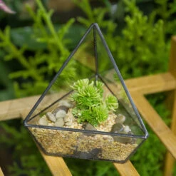 Handmade Geometric Flower Pot Small Glass Terrarium Pot For Container Balcony Garden Succulents -Ncyp Garden Sale Shop product image 573788998