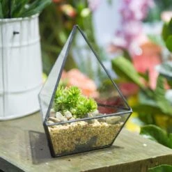 Handmade Geometric Flower Pot Small Glass Terrarium Pot For Container Balcony Garden Succulents -Ncyp Garden Sale Shop product image 573788999