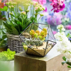 Handmade Bowl Shape Geometric Glass Terrarium For Garden Plants Succulents Moss Airplants -Ncyp Garden Sale Shop product image 575616776